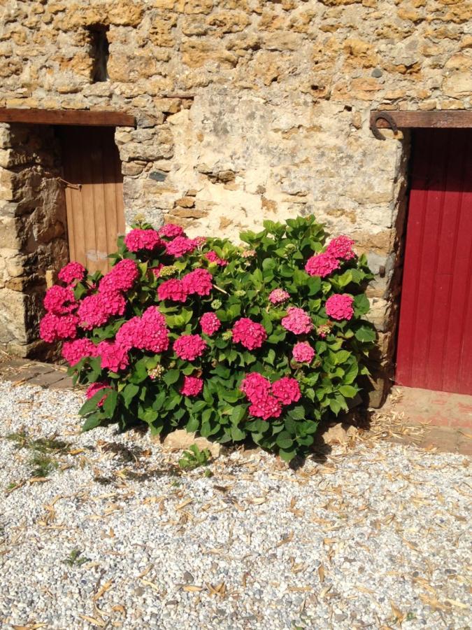 Le Clos De La Viniere جارد سور مير المظهر الخارجي الصورة